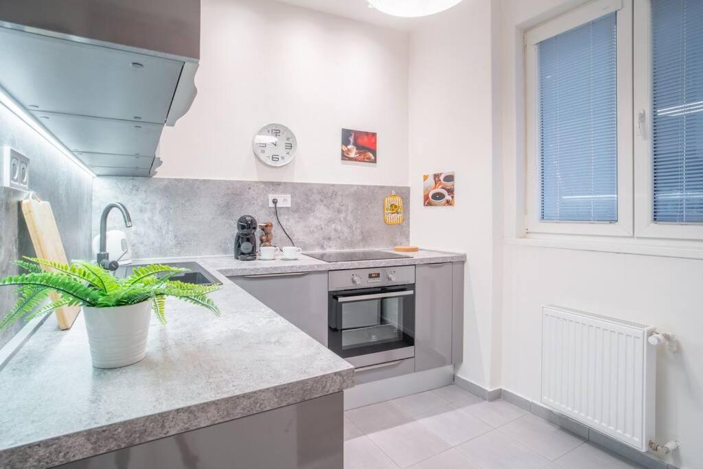 Sukromny Staromestsky Apartman V Uzasnej Lokalite/Cozy Old-Town Apartment In A Great Neighborhood Bratislava Eksteriør billede